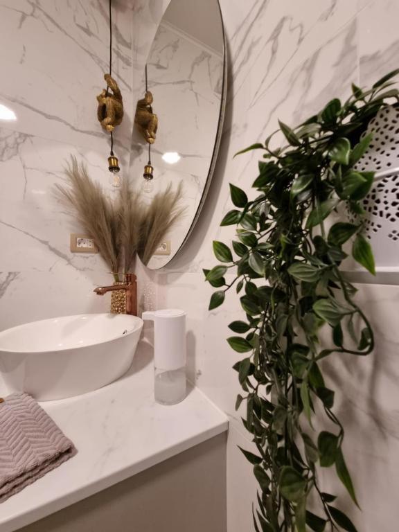 Apartment Amour Luxe Split Exteriör bild